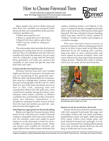 Cover of the pdf