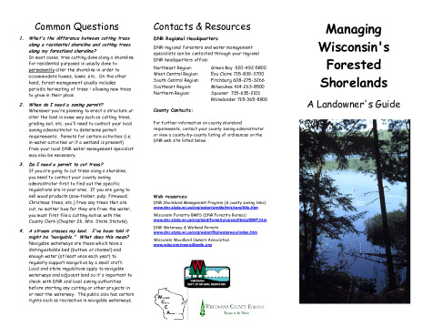 Cover of the pdf