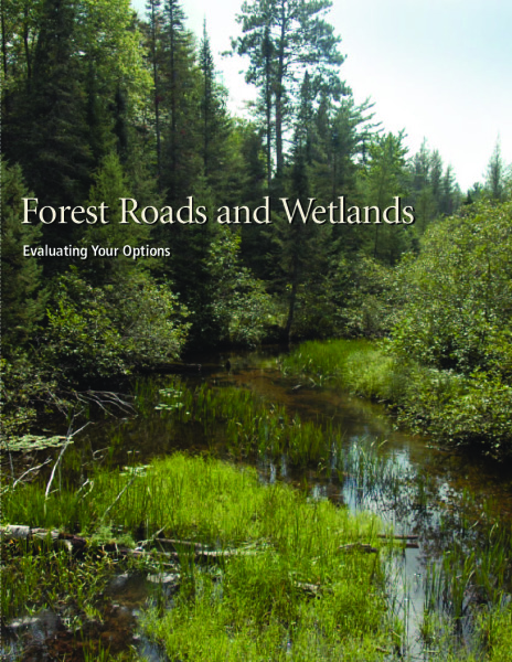 Cover of the pdf