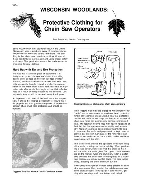 Cover of the pdf