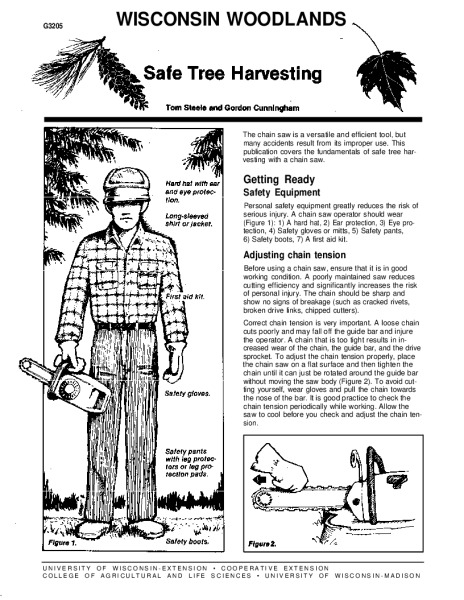 Cover of the pdf
