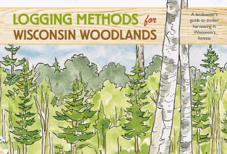 Cover of the pdf