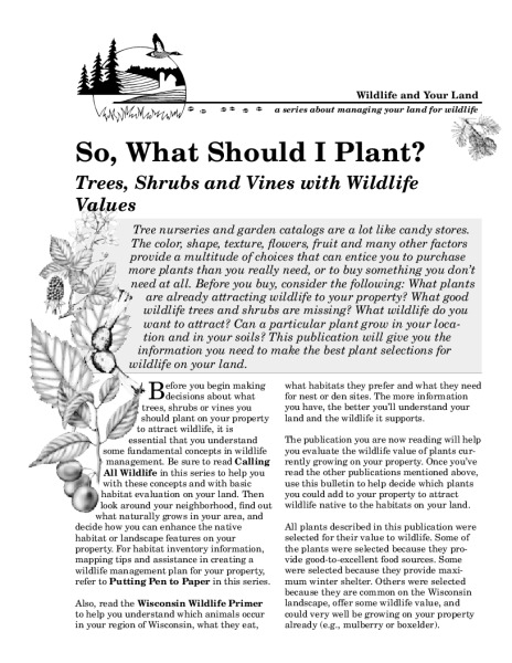 Cover of the pdf