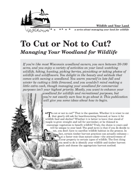 Cover of the pdf
