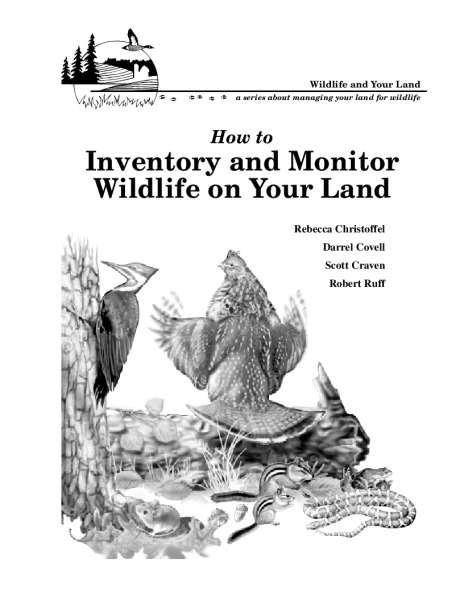 Cover of the pdf