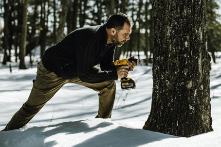 tapping tree