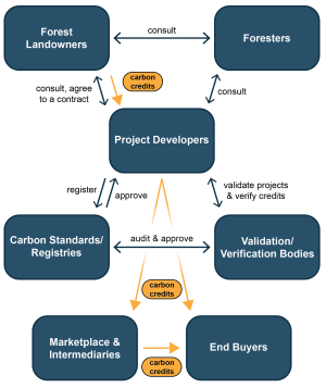 Forest Carbon Markets - UW-Madison Extension Forestry