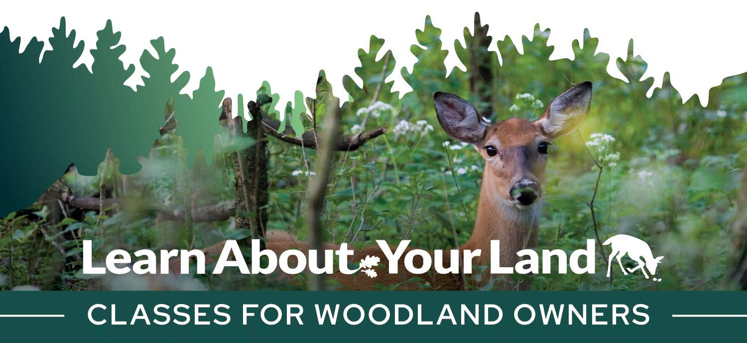 Learn About Your Land: Classes for Woodland Owners. Image of a deer.