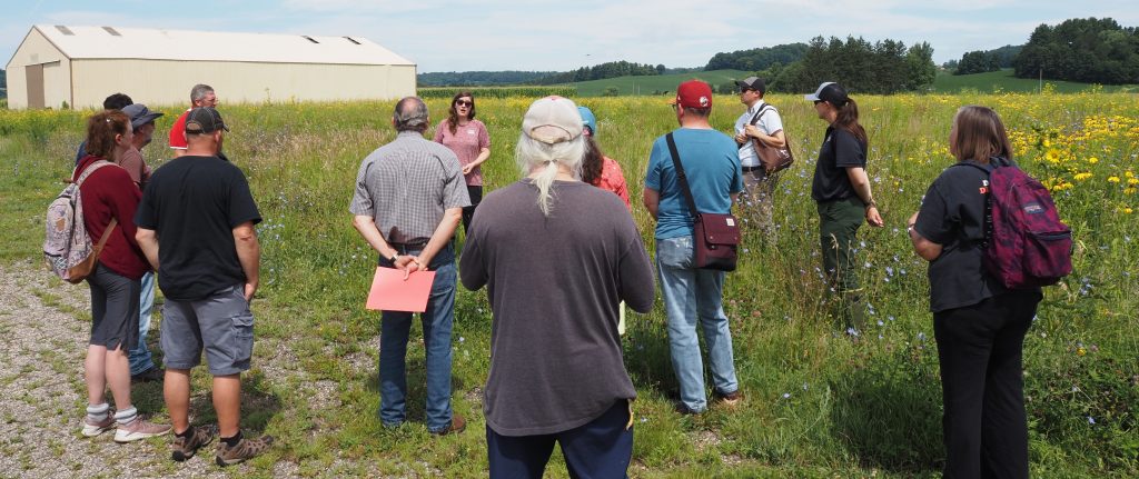A group of landowners in a prairie on the Sauk County Farm.