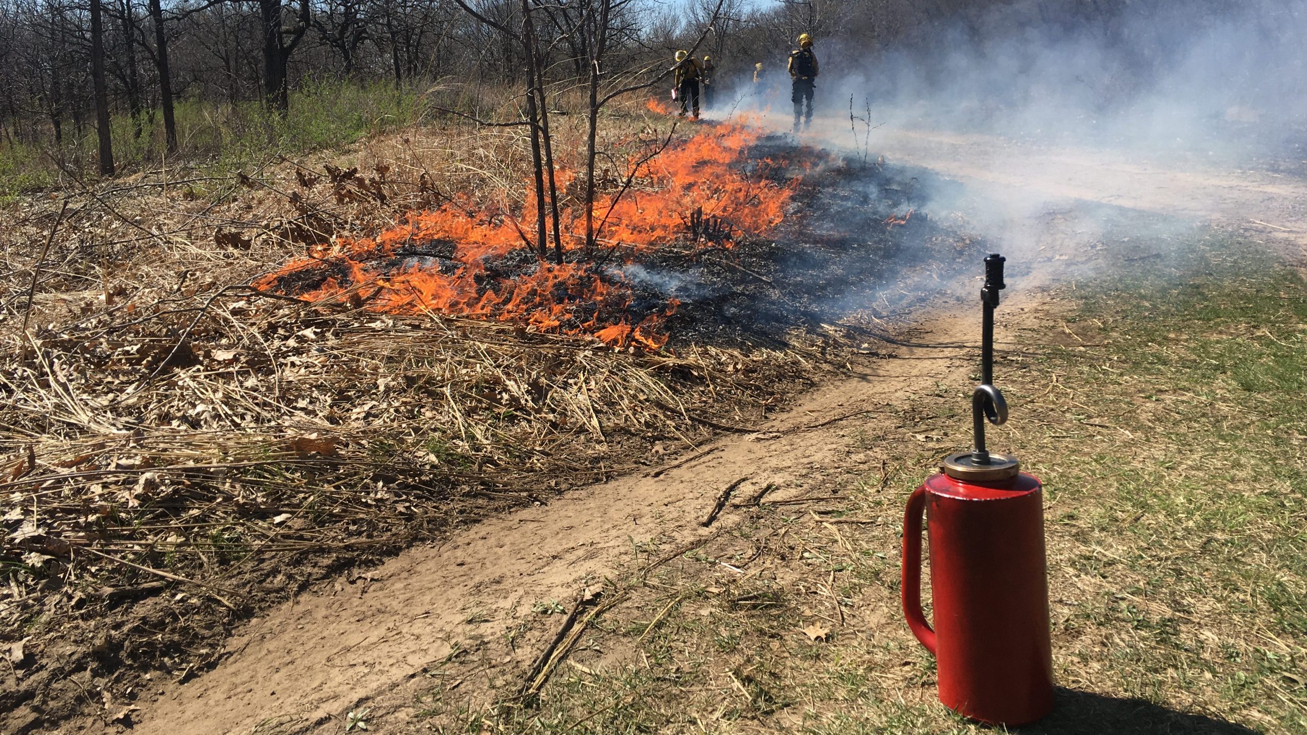 Drip torch and the start of a flanking fire in an oak woodland