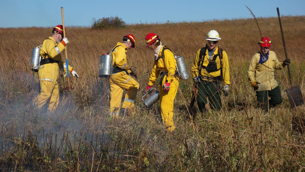 Five people conducting a prescribed burn in a prairie