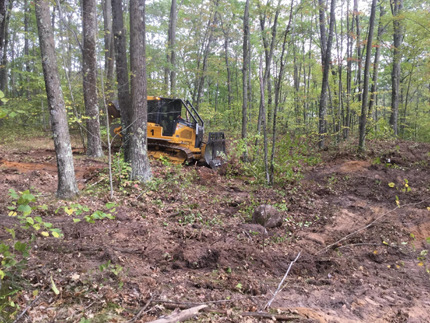A bulldozer raking soil in an oak forest to scarify the soil