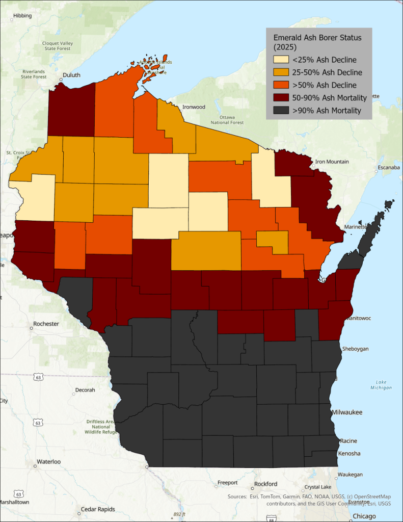 Map showing rates of ash mortality due to emerald ash borer across Wisconsin.