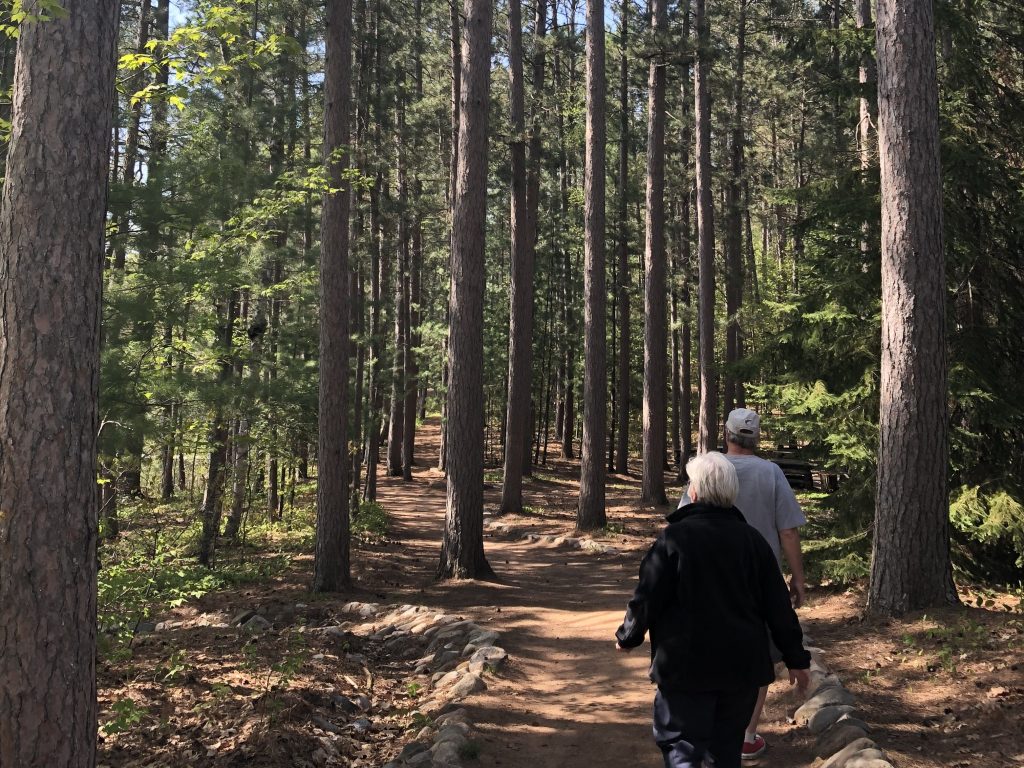Two people walking on a trail through a forest